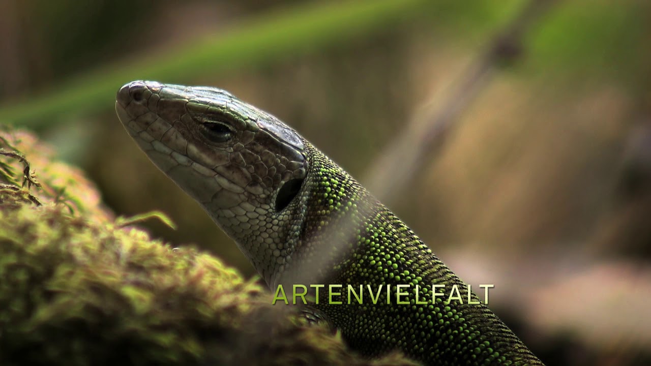 Nationalparks Austria Trailer