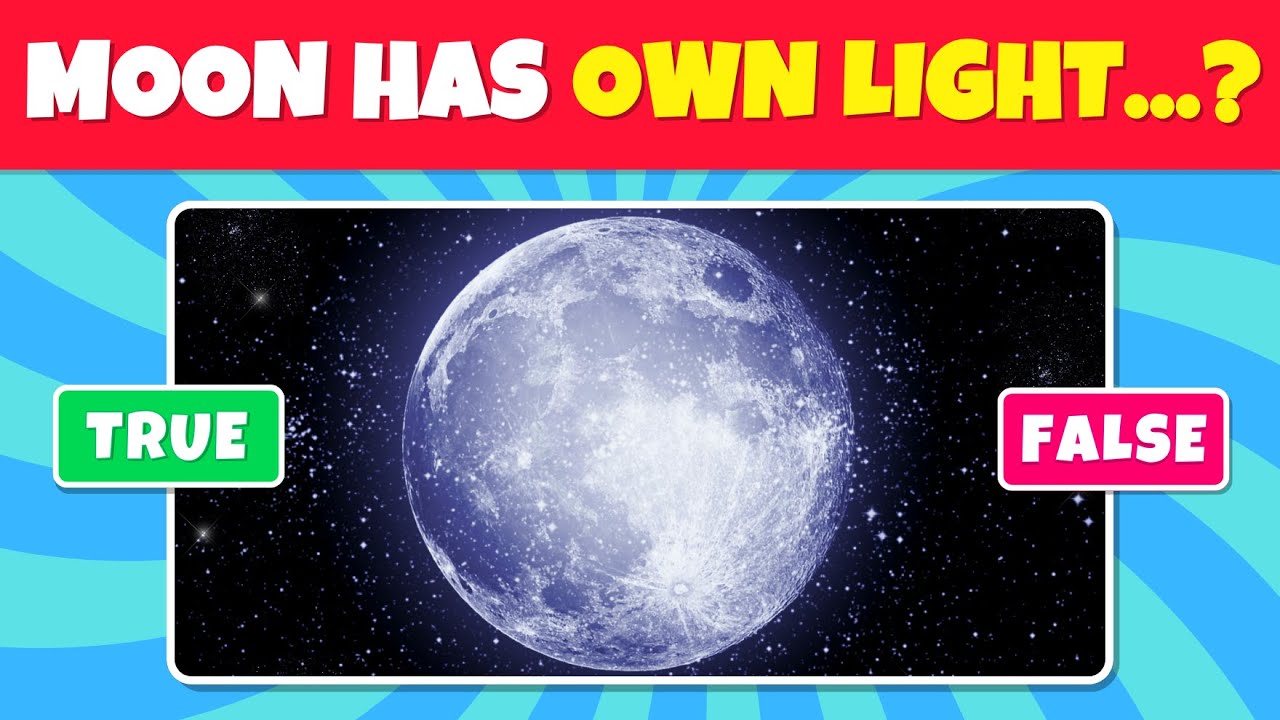 True or False: 60 Question Quiz ✔️❌ | How Much Do You Know?