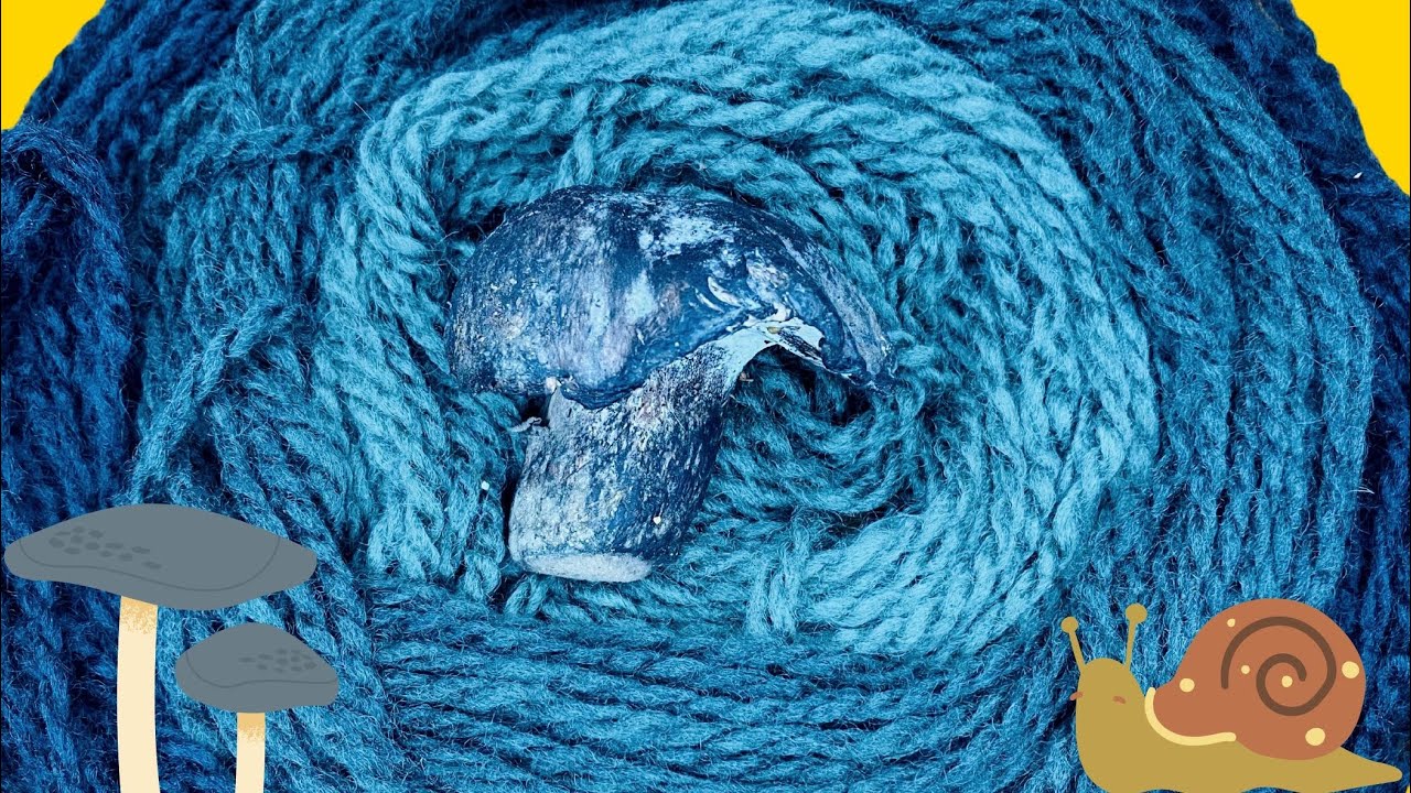 Как красить грибами Boletopsis ⁠@WildcraftDyeing