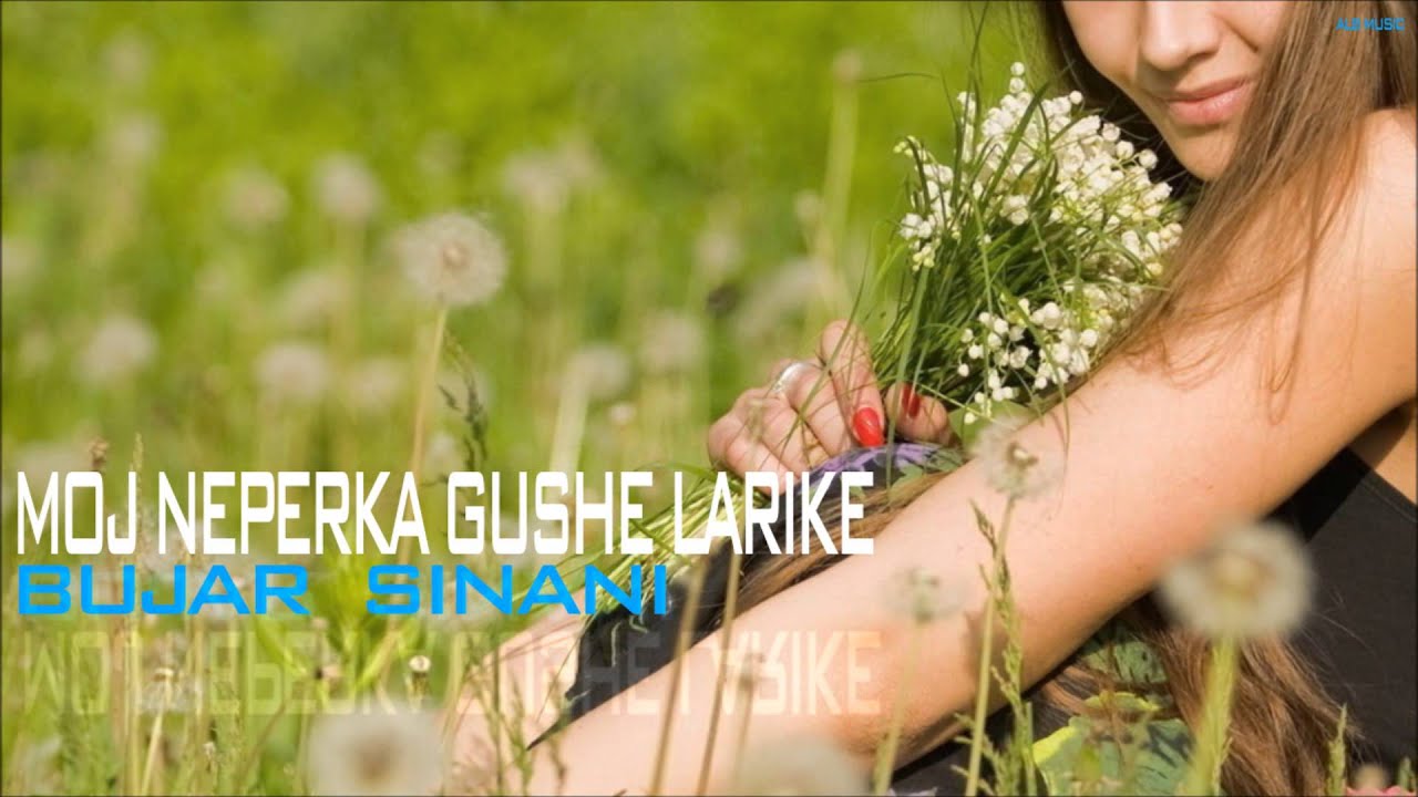 Bujar Sinani - Moj neperka gushe larike (Official Audio)