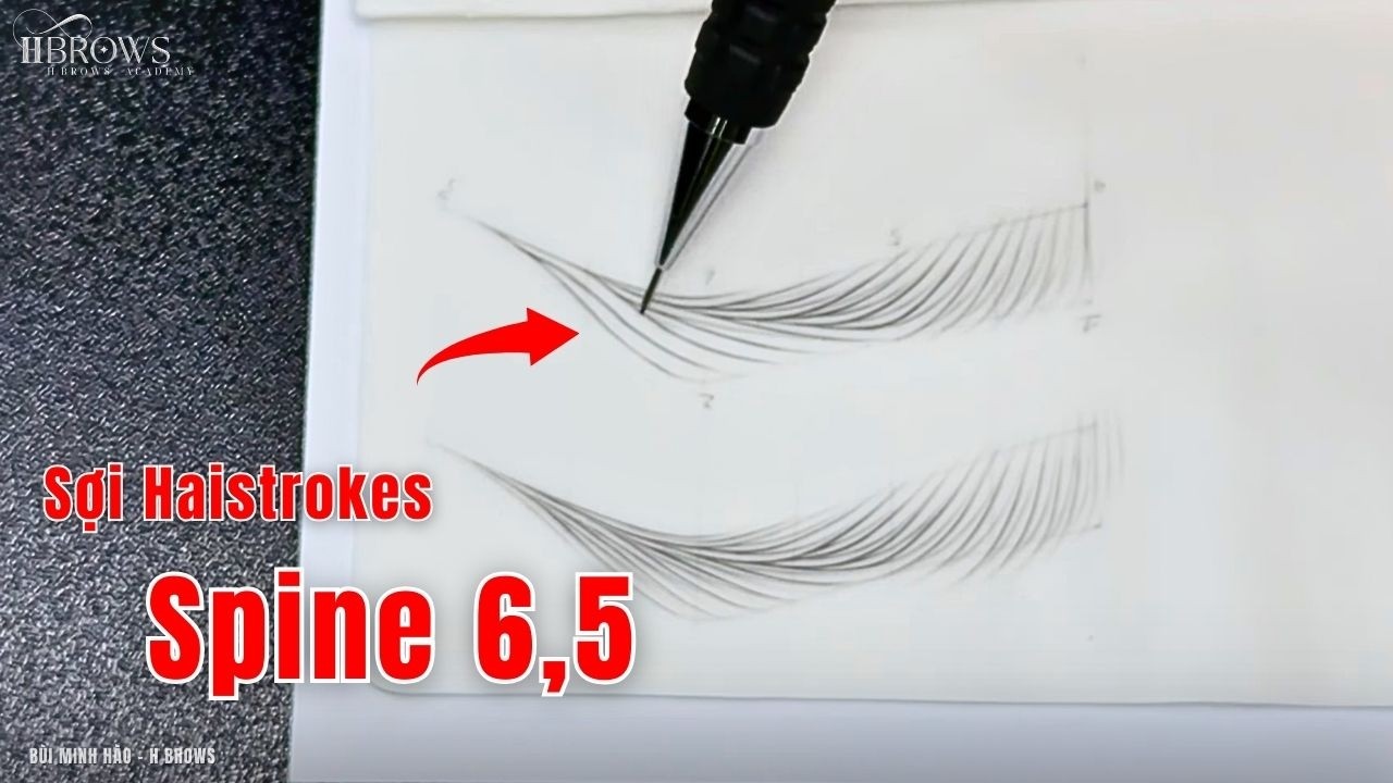 Cách Vẽ Sợi Spine 6.5 Hairstroke | Hướng Dẫn vẽ Sợi Cực Dễ Cho Người Mới