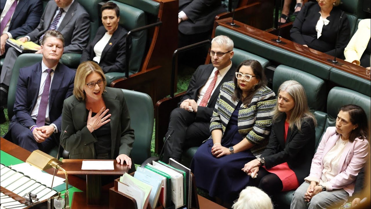 &lsquo;Virtue signalling&rsquo;: Jacinta Allan blasted for &lsquo;breeding division&rsquo; with sorry speech
