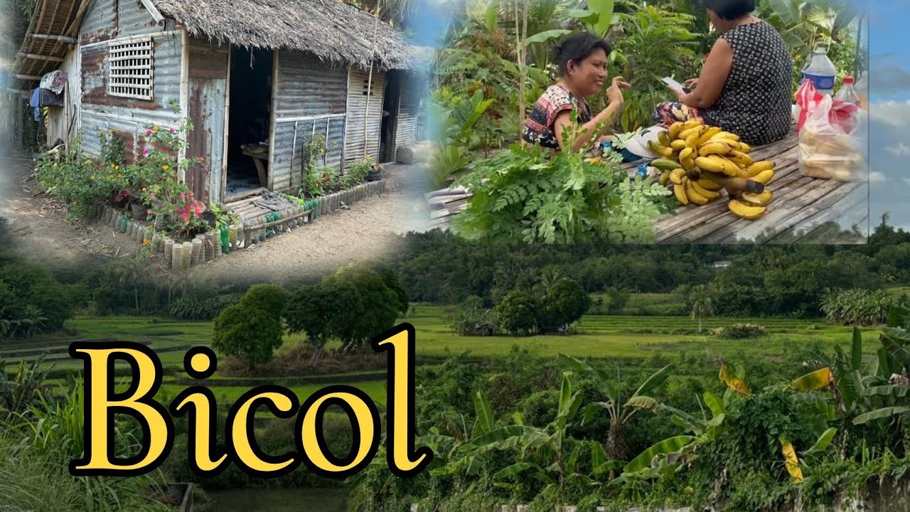 PROVINCE LIFE | Living simply in Bicol