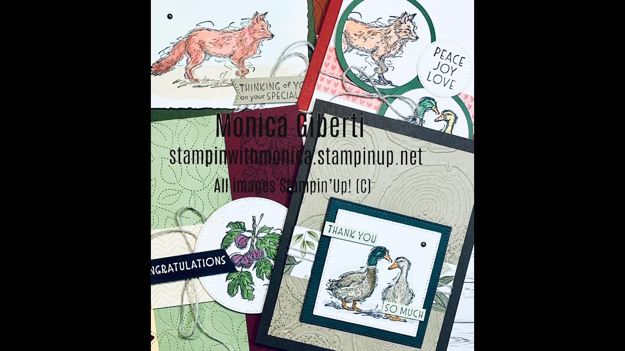 Wednesday FREE Card Class with Monica - Stylish Sketches Stamp Set