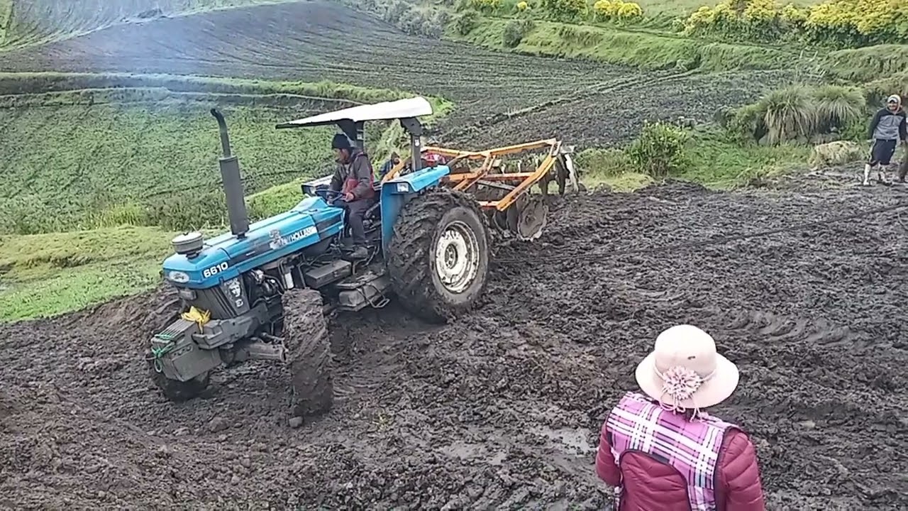 TOCO DESEMBARCAR EL GANADO