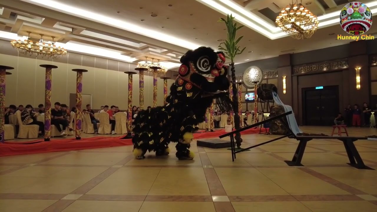 2023 柔佛光艺龙狮体育会，传统舞狮表演。2023 Kwong Ngai Lion Dance Johor, Traditional Lion Dance Performance.