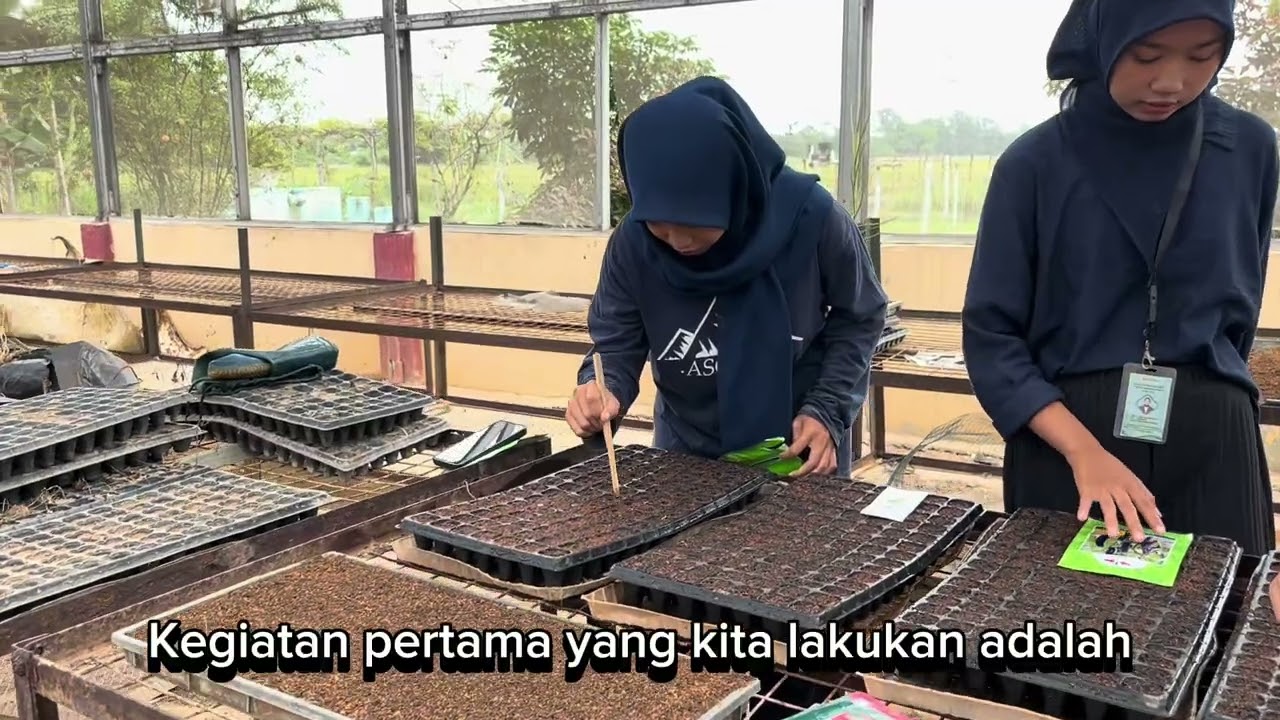 Aktivitas Mahasiswa KKP Untirta di Screen Perbenihan BSIP Banten