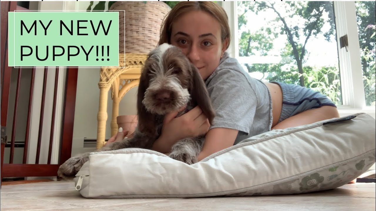 getting a puppy!!!