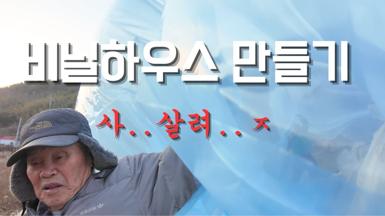 제발 완성하게 해주세요 비닐하우스...