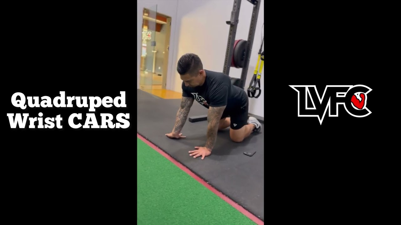 Quadruped Wrist Cars