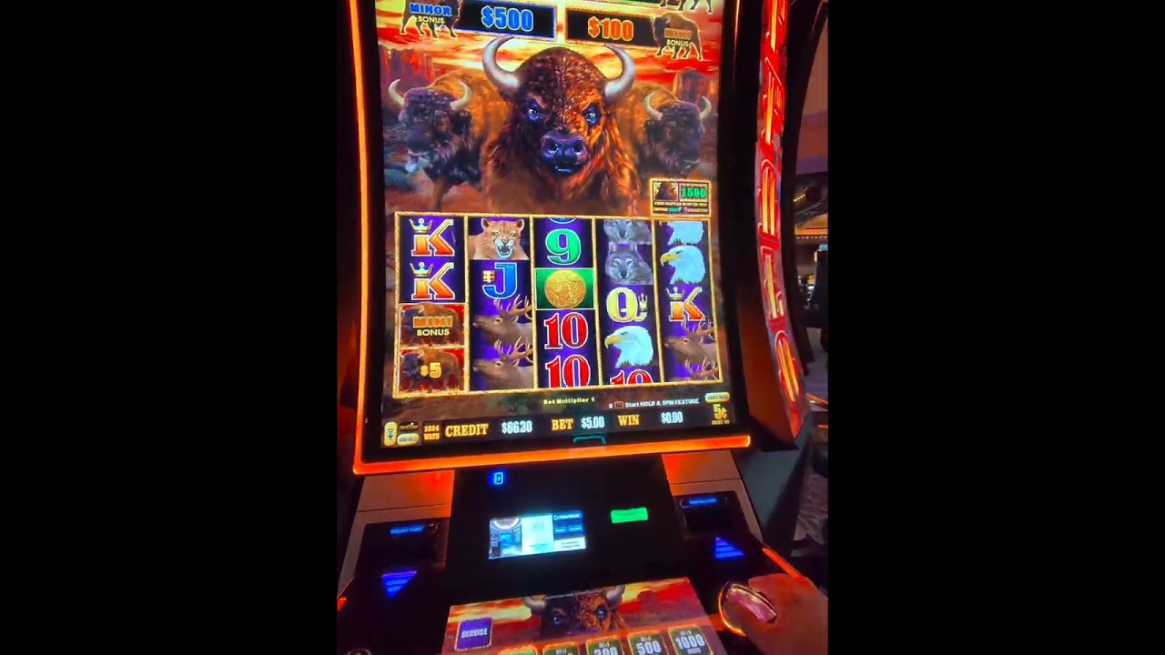 MASSIVE hit on Buffalo Link Jackpot