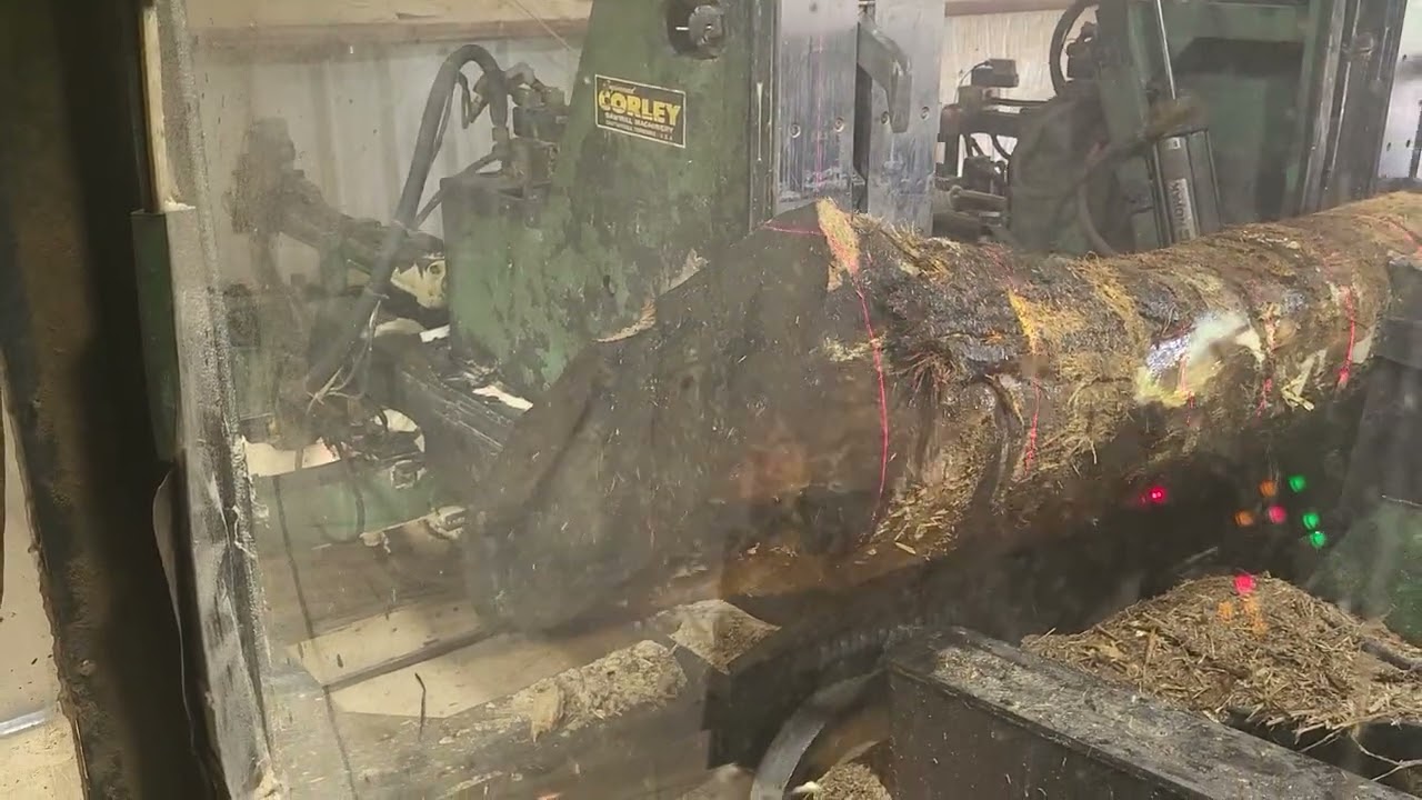 Comercial  Band saw! 