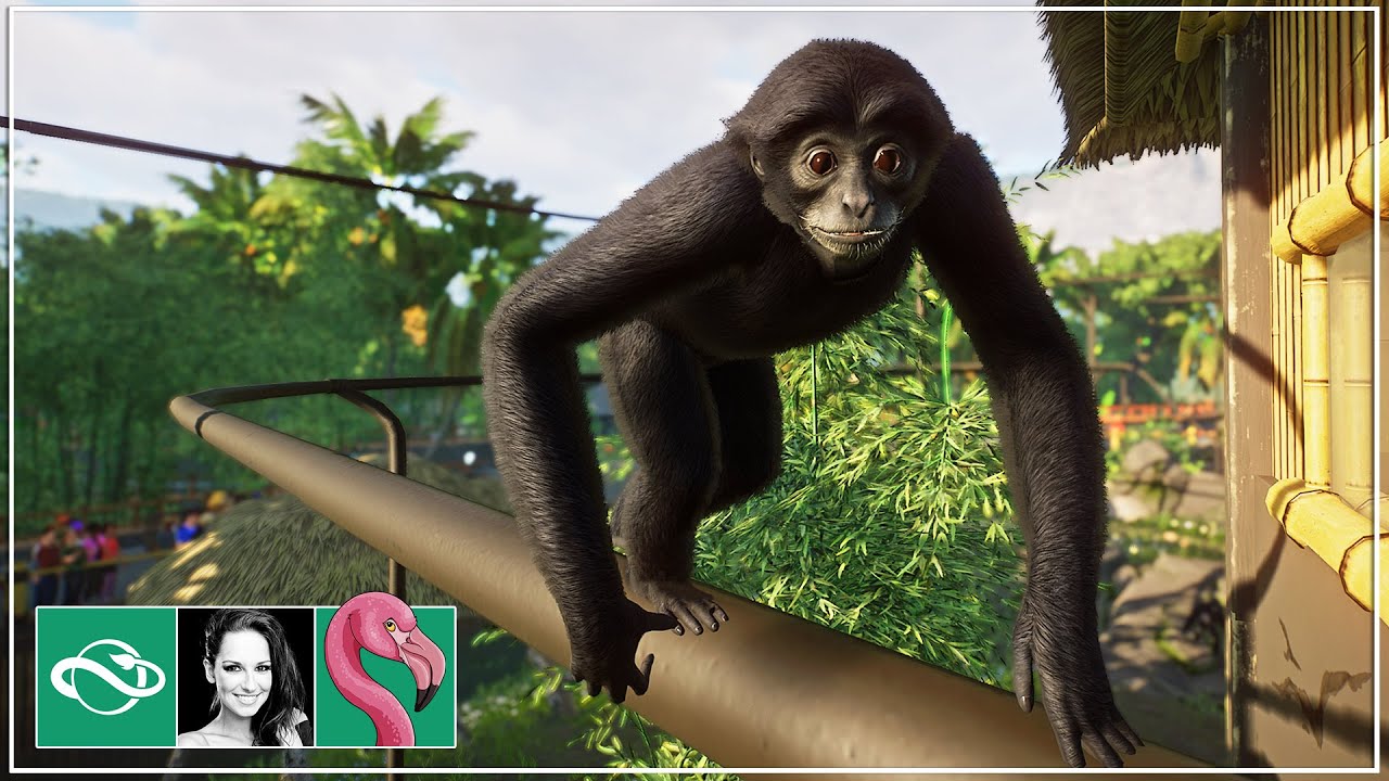 Creating a LUSH Siamang Island Habitat in Planet Zoo Franchise Mode