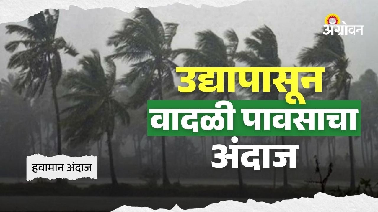 Maharashtra Unseasonal Rain: राज्यात कोकण वगळता वादळी पावसाचा इशारा | Agrowon