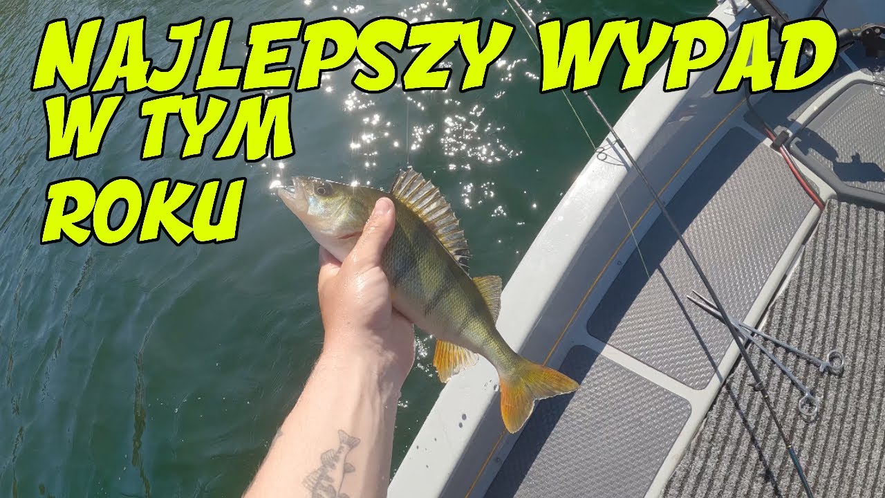 Boczny Trok Rozwala system | Ruszaj Nad wode | Okonie odpaliły