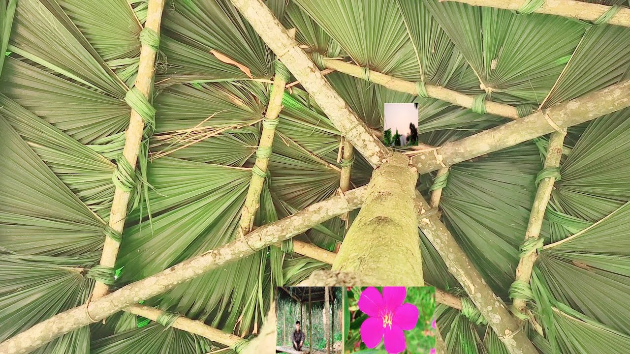 complete wooden house for cooking and relaxing