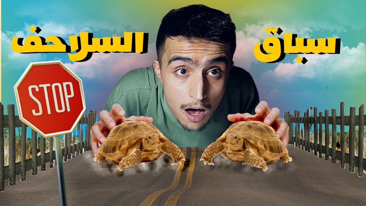 صنعت أكبر سباق السلاحف في العالم