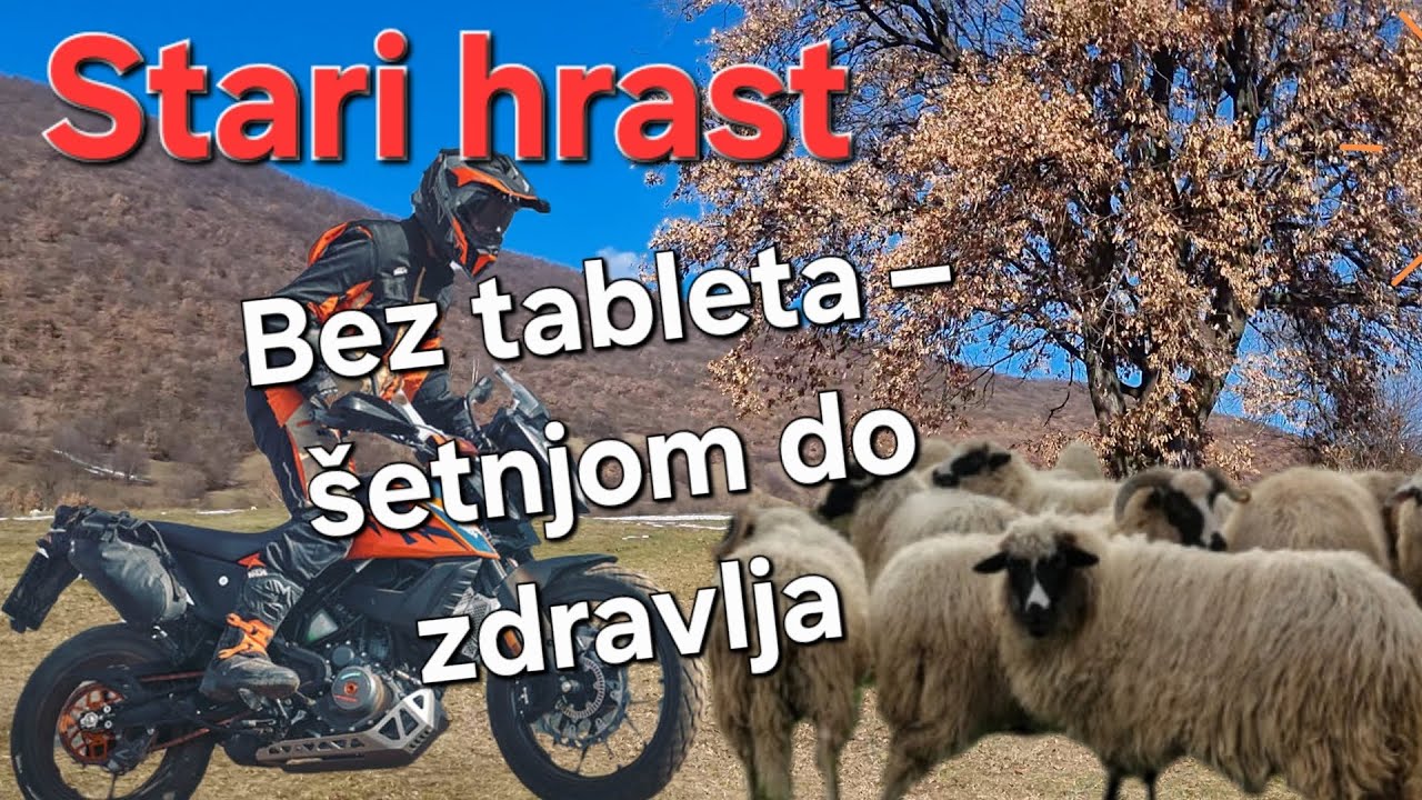 👉Zdravlje počinje prvim korakom💯Priroda, hodanje i mir❓️❓️