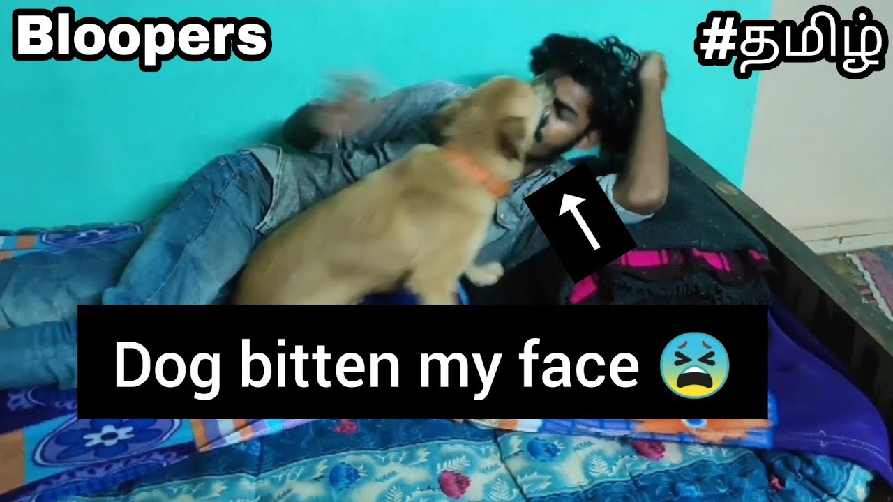 😓 Dog bitten my face | bloopers | Tamil | playing with dog | comedy |  dog bite |