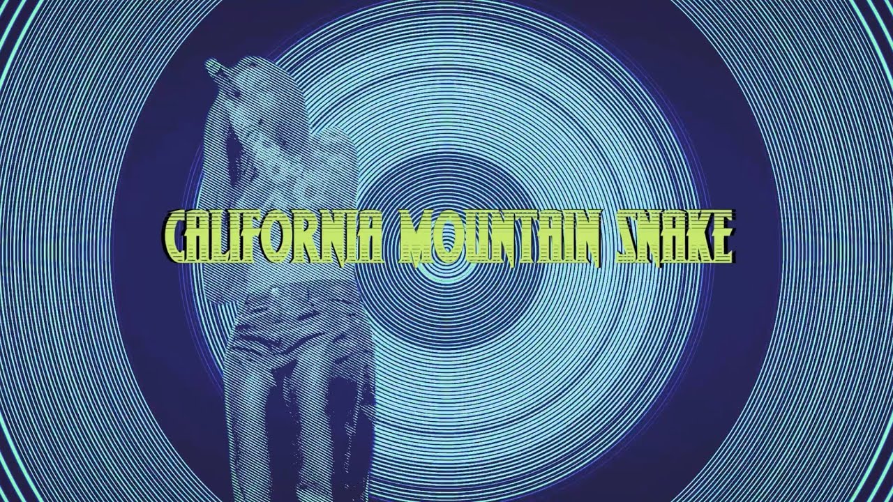 DIONYSIAN- ”California Mountain Snake”