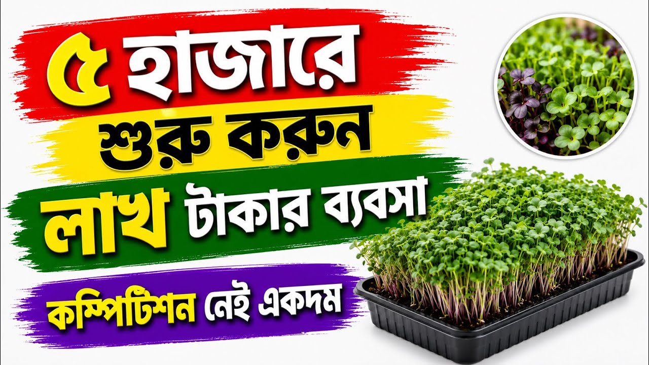 কম পুঁজিতে ব্যবসা | 5 হাজার টাকায় ব্যবসা| Business Under Rs.5000 | Microgreens Cultivation Business