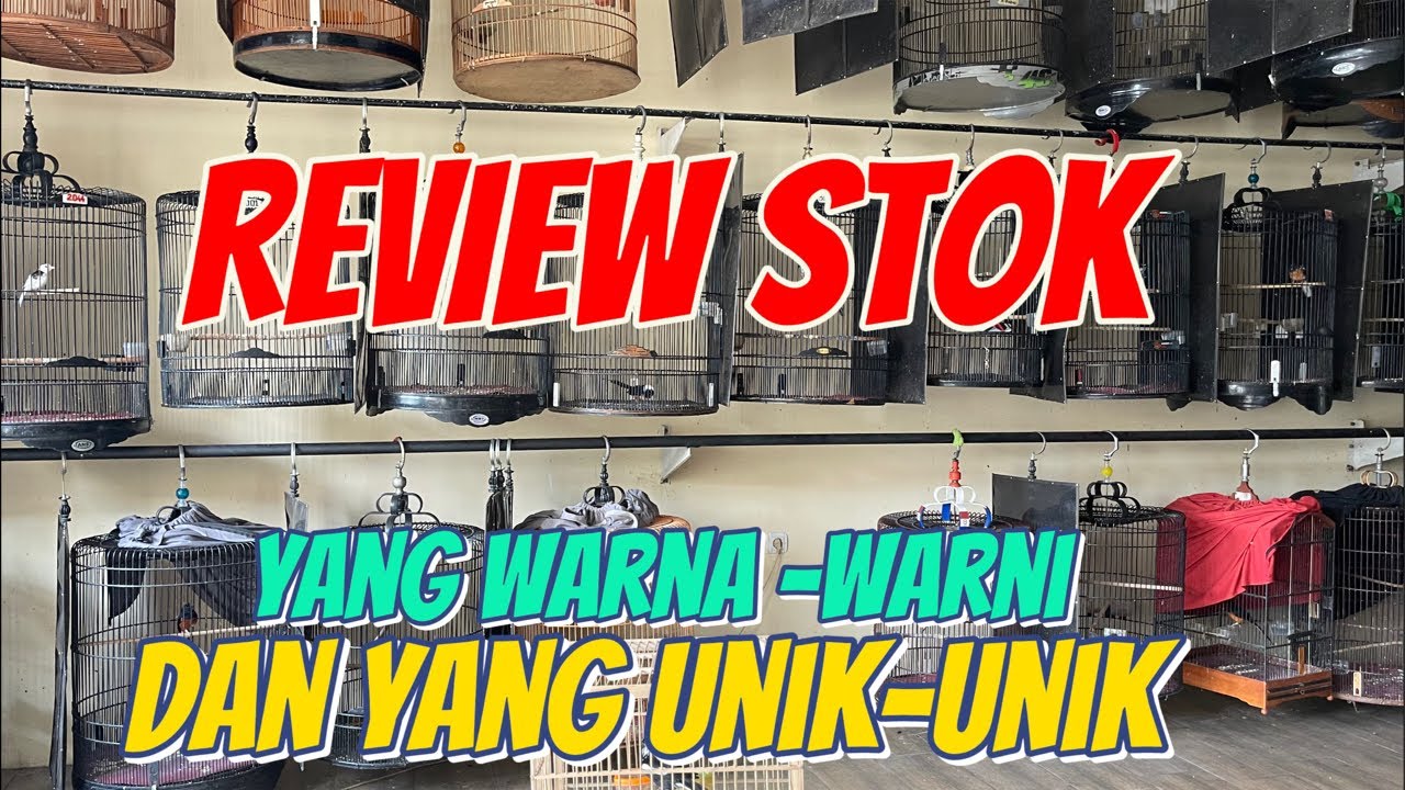 REVIEW STOK