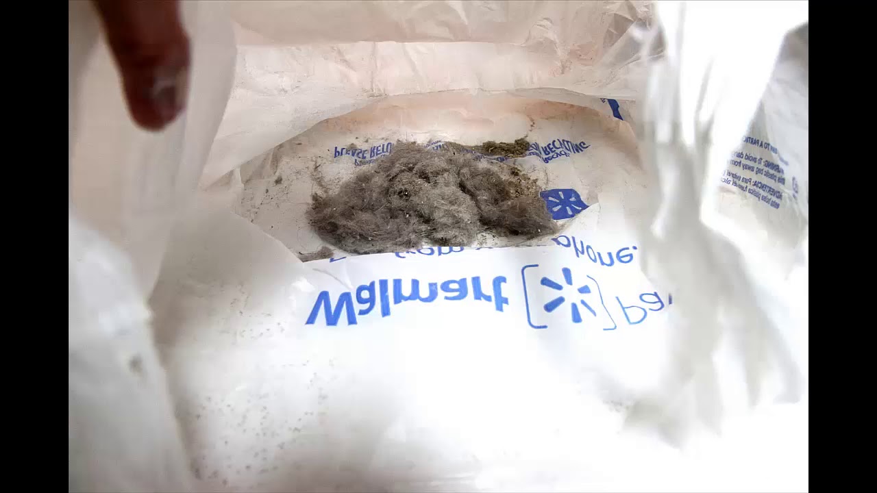 Dry Foam Carpet Cleaning Review -  6/26/2019