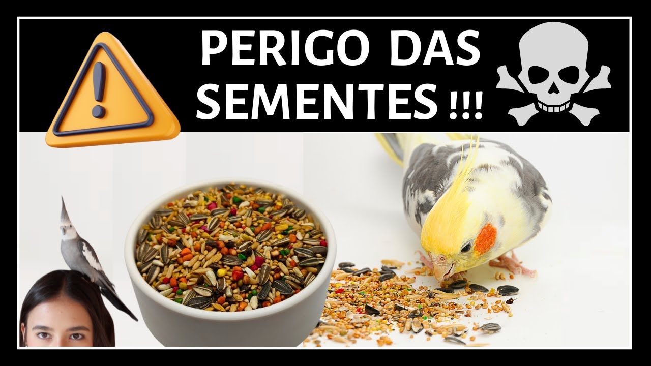 MIX DE SEMENTES MATA SUA CALOSPITA!