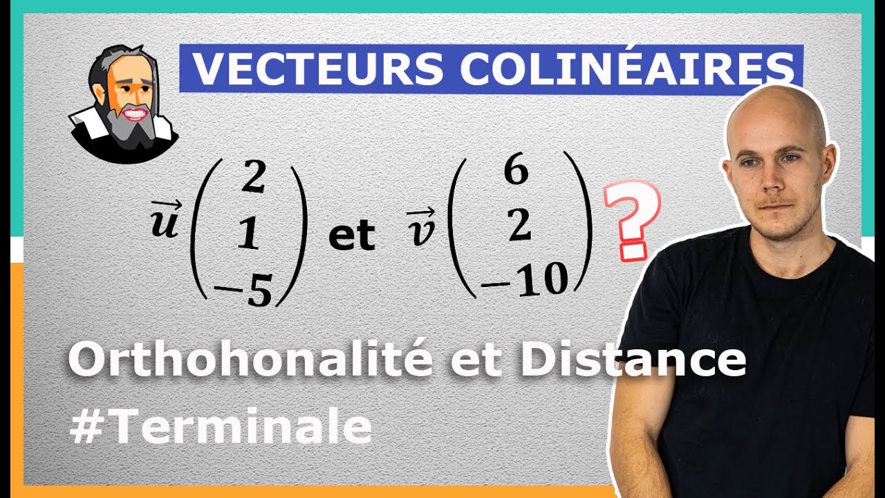 Savoir si 2 VECTEURS sont COLINÉAIRES dans l'Espace - Exercice Corrigé - Terminale