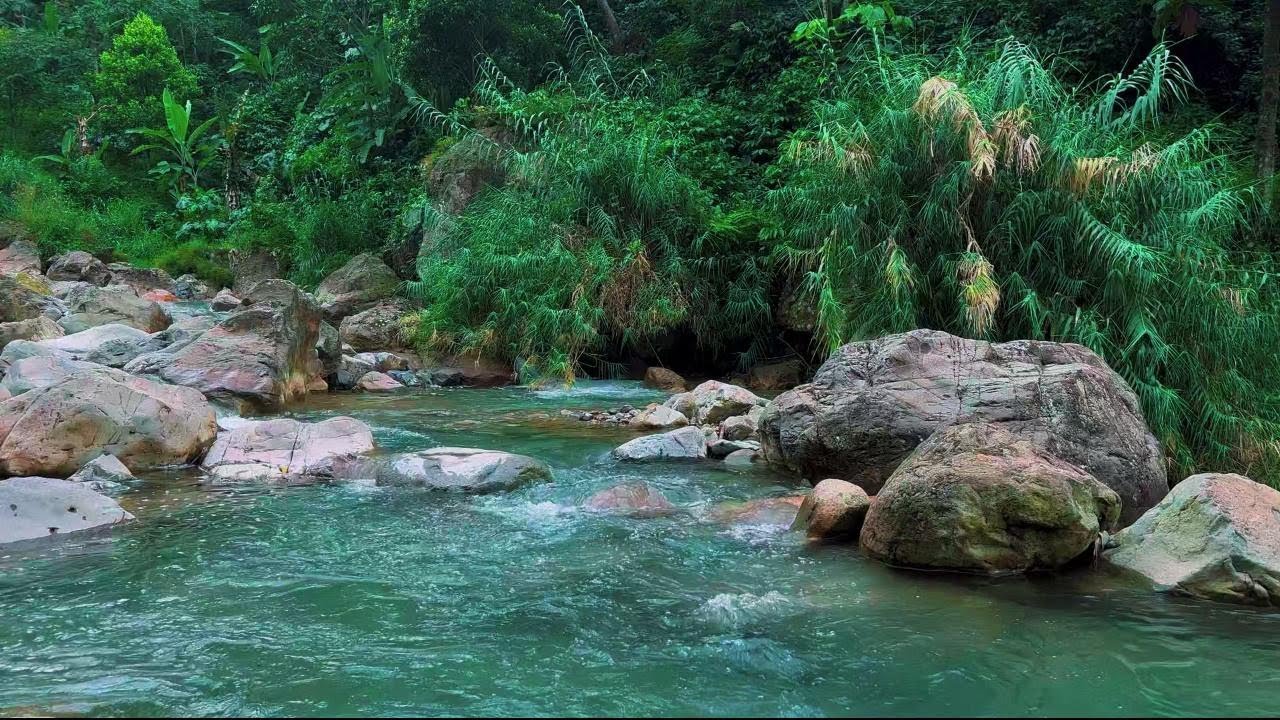 4K-HDR | Relaxing River Sounds for Sleep & Anxiety Relief | Natural Water Ambience for Restful Night