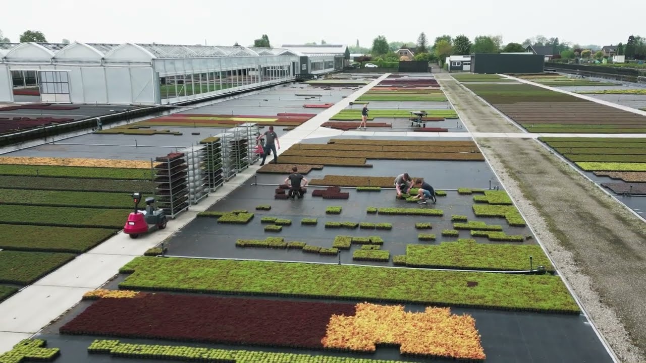 Drone - van der Wolf Plant Reeuwijk