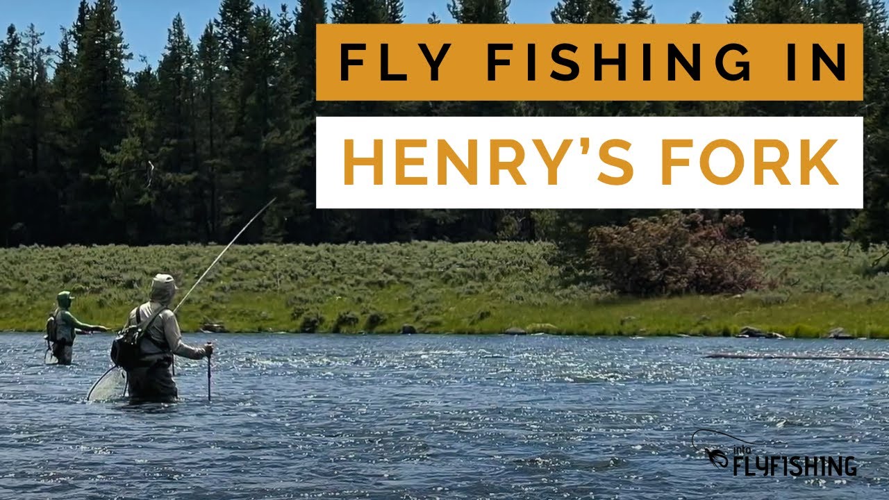 Fly Fishing in Henry's Fork (An In-depth Guide By a Guide)