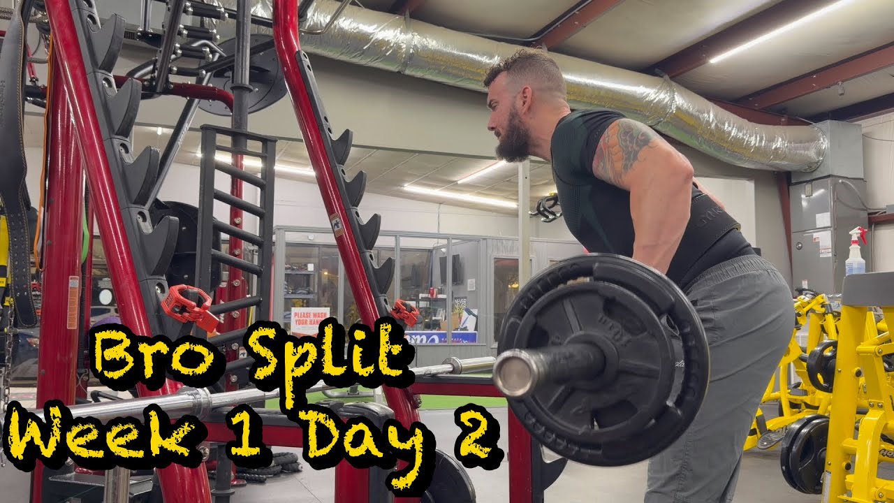 The Bro Split Week 1 Day 2 | Back And Forearms | Gym Vlog #24