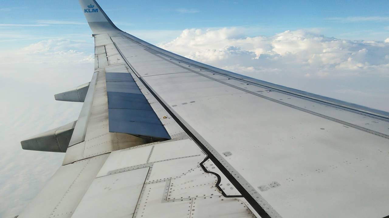 Cabin crew prepare for landing