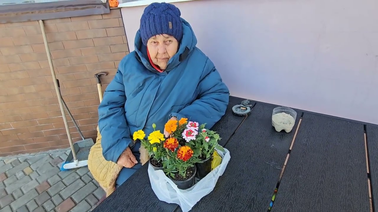 Купил цветы чернобривцы.