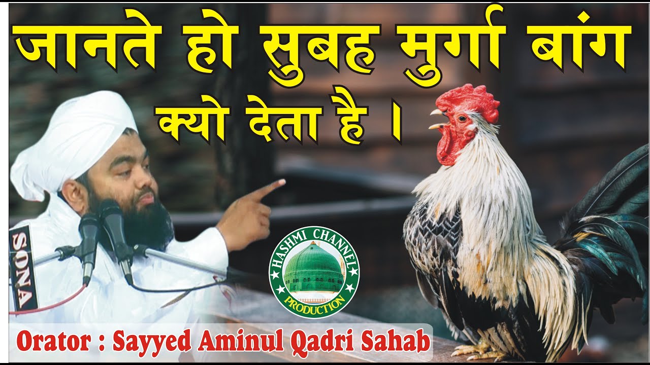 Azaan ke Waqt Murga Baang kyun Deta He | Sayyed Aminul Qadri Sahab