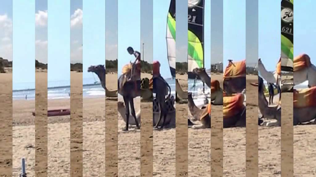 dov.Maroko-velbloudi