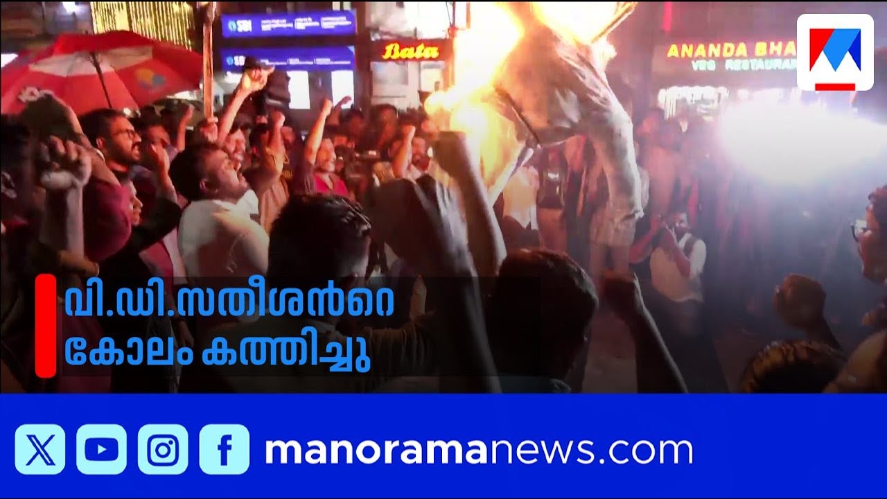 വീണാ ജോർജിന് പരുക്ക്; പ്രതിപക്ഷനേതാവിന്‍റെ കോലം കത്തിച്ച് പ്രതിഷേധം | Veena George