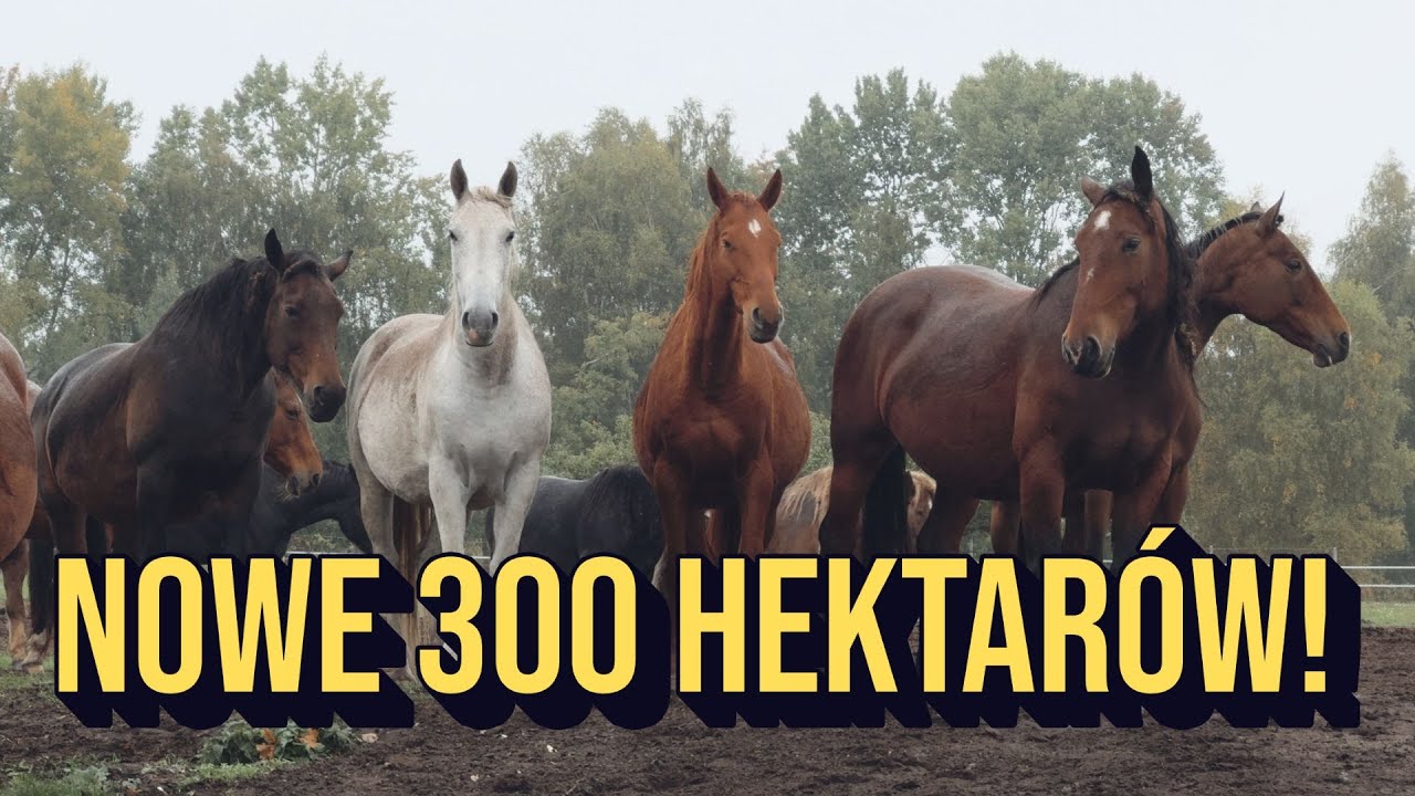 Kolejne 300 hektar&oacute;w! - Centaurus on tour #1