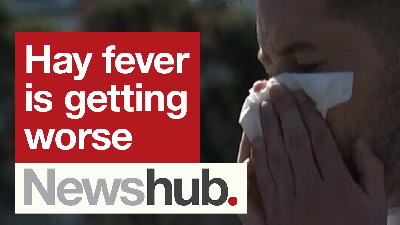 Has your hay fever been worse than usual this year? If so, you're not alone | Newshub