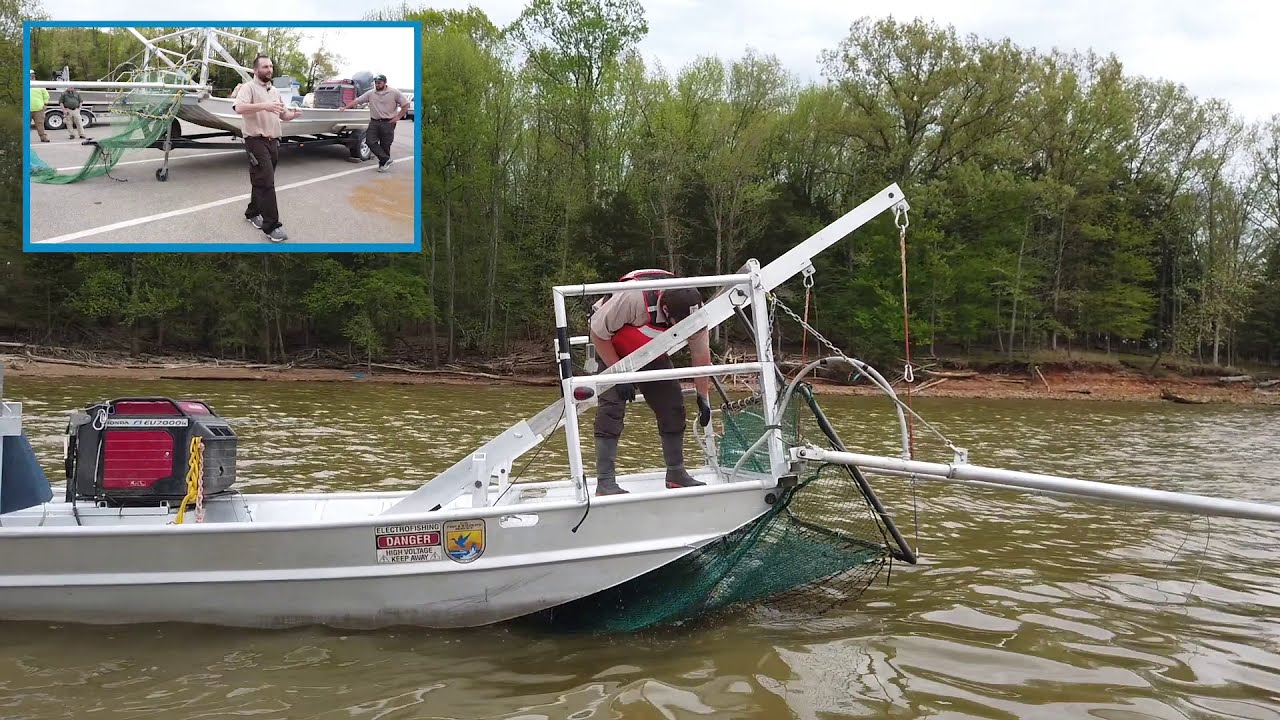 In the Field: Electrified Dozer Trawl