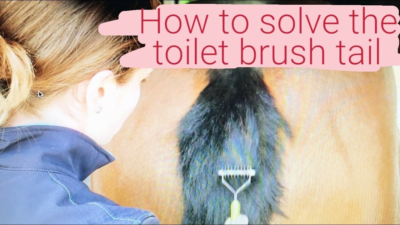 HOW TO FIX A TOILET BRUSH TAIL! TOP TIPS FRIDAY