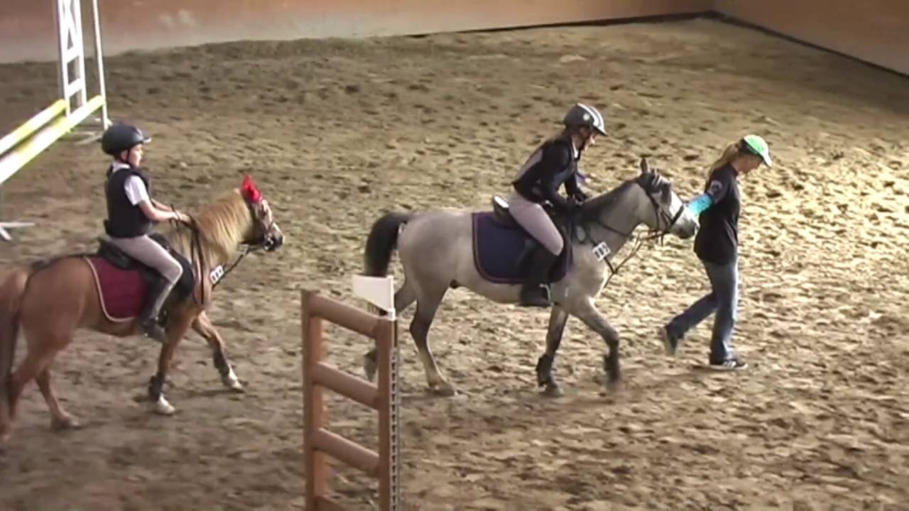 Skokové hobby závody Heroutice 19.6.2016