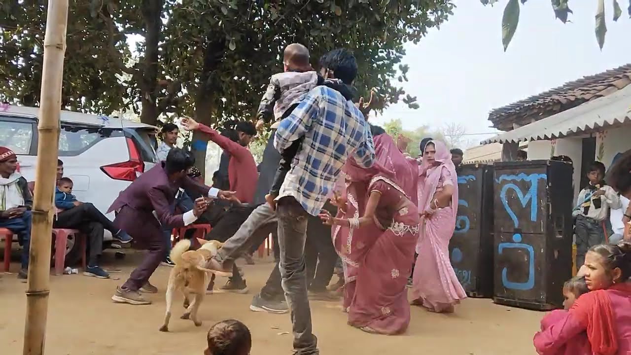 #dance #dancesong #song #sorts #partysongs #funny 💃💃🕺🥳🤪🥰👑