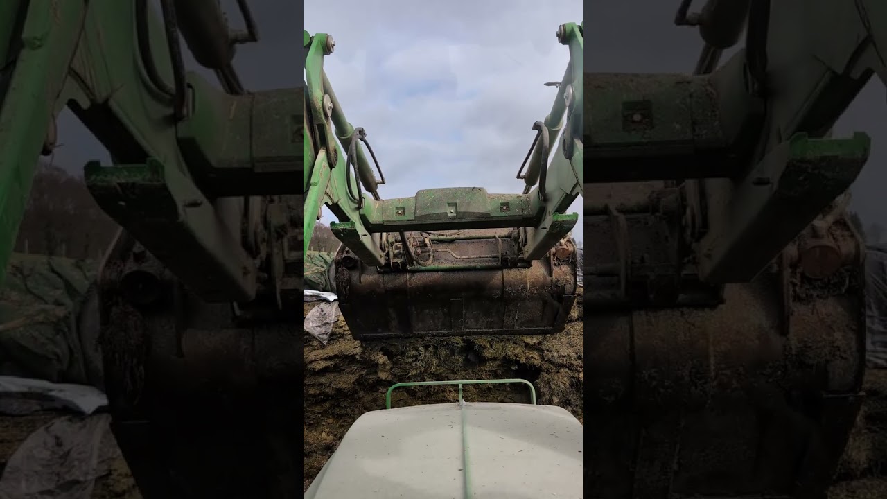 Real Farm Life | Feeding the Cows & Daily Work on Our Farm🐄