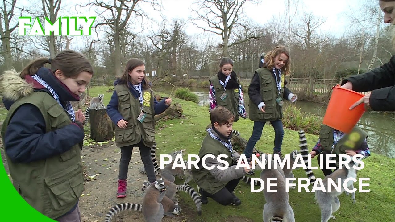 Aventures animalières dans les meilleurs parcs zoologiques de France