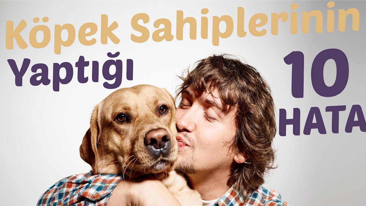 Köpek Sahiplerinin Yaptığı 10 Hata