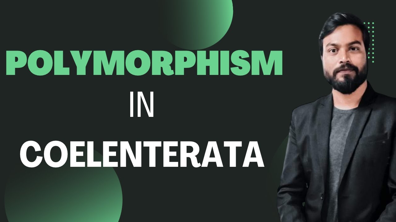 Polymorphism in coelenterates (BSc. | KVS | PGT)