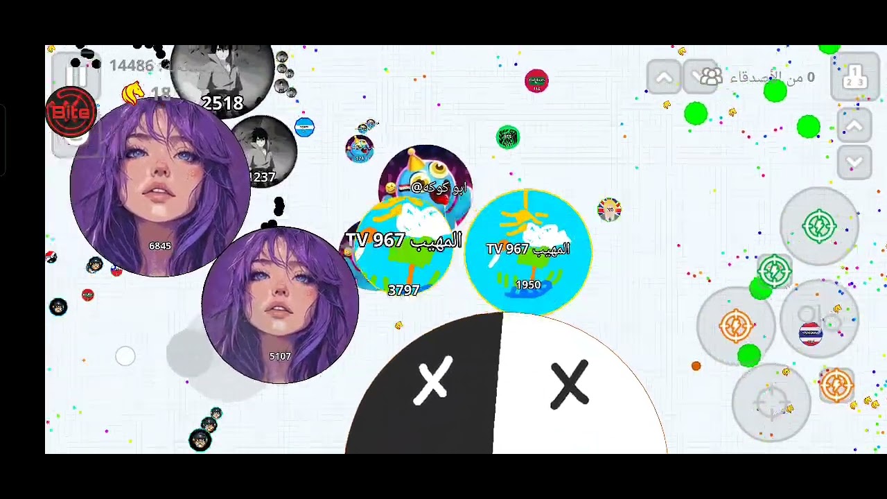 حياكم جلد المنوب
