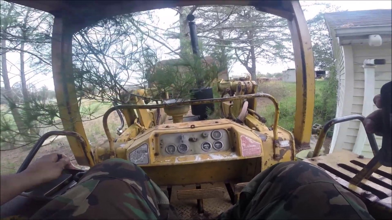 Knocking Over Dead Tree With Cat 941
